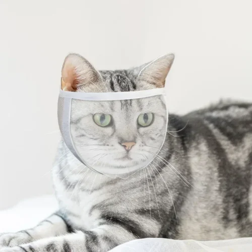 Muzzle Clear Breathable Dogs Cats