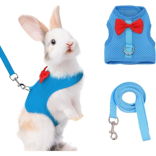 Bunny Harness and Leash Set
